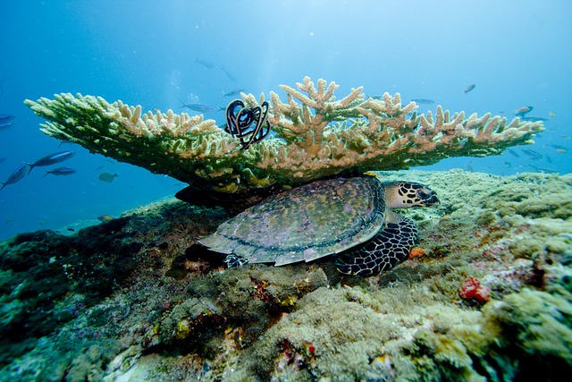 Maldive: L'Oscar del Turismo per la Miglior Destinazione al Mondo